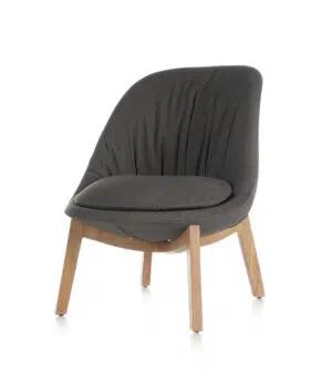 Mimosa fauteuil – huislijn